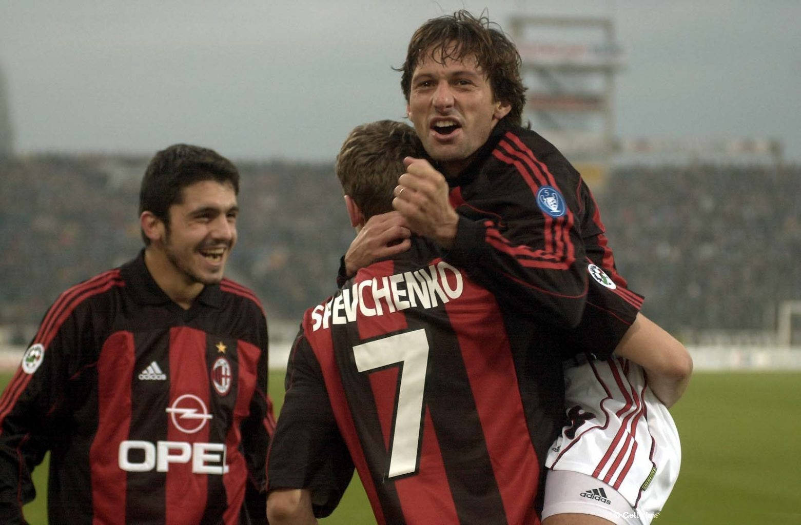 尤其显得不 尤其显得不